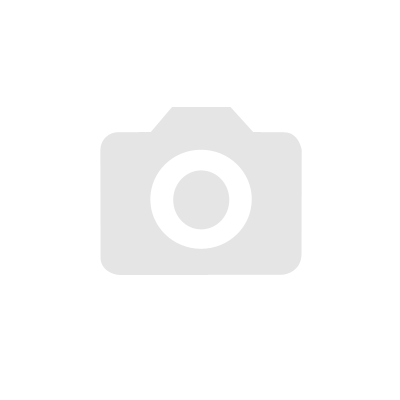 ИСТЕМ Forza