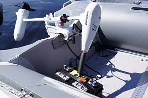 Для любителей рыбалки. Троллинговые электромоторы WaterSnake