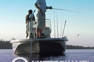 Электромоторы Watersnake